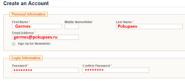 Образец заполнения формы регистрации на Pandawill.com