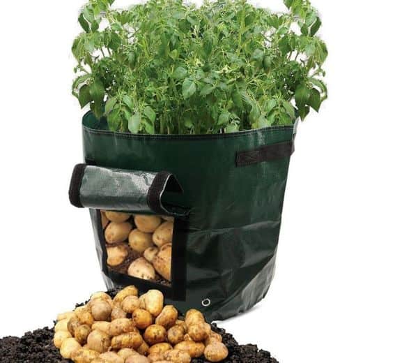 Обзор мешков для выращивания картошки